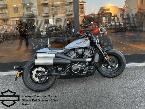 Harley Davidson Torino (67)