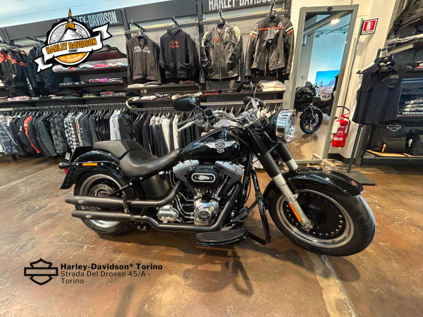 Harley-Davidson-Torino (7)