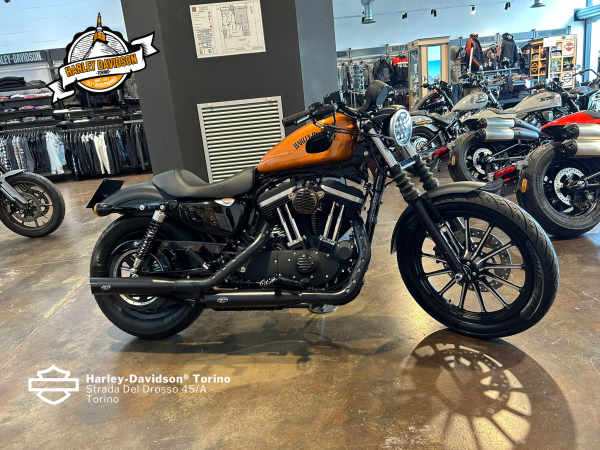 Harley-Davidson-Torino (70)