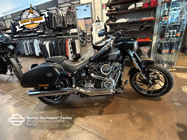 Harley-Davidson-Torino (72)