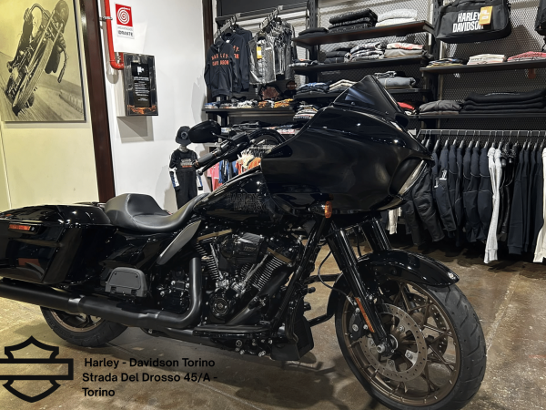 Harley Davidson Torino (72)