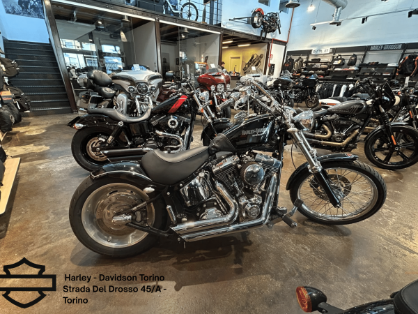 Harley Davidson Torino (73)