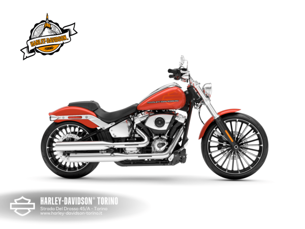 Harley-Davidson-Torino (9)