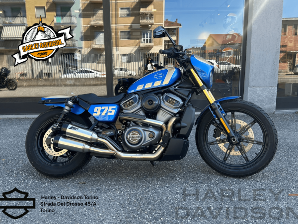 Harley Davidson Torino